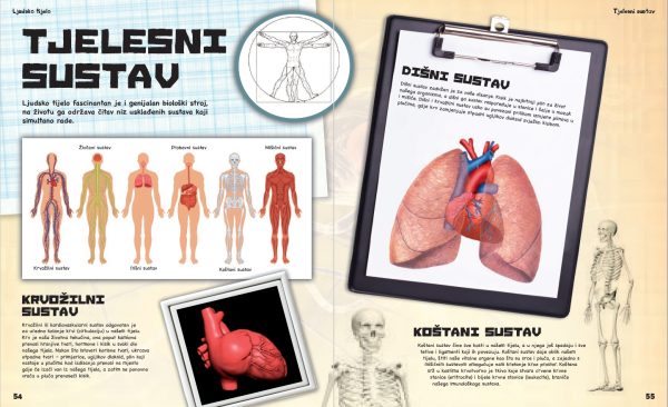 GENIJALNO LJUDSKO TIJELO - Slika 3